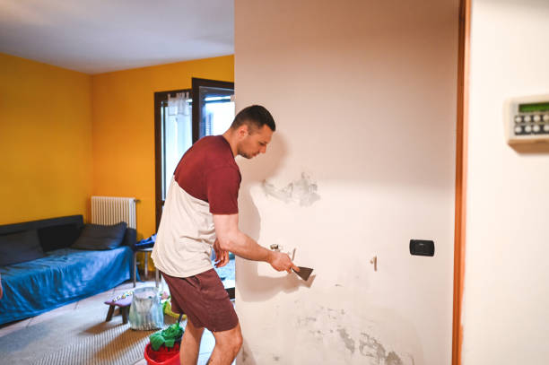 Trusted Hybla Valley, VA Mold Removal Experts